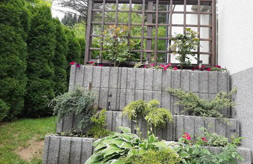 Apartamenty ,,Trzy Sosny'' Rymanów-Zdrój - Foto 34