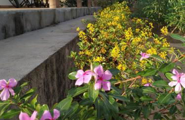 Chalé Pôr do Sol - Photo 8