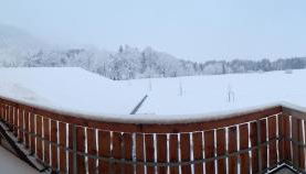 Ferienwohnung Streuobstwiese - Photo 2