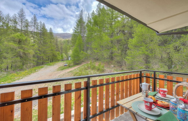 Studio Abete Rosso 500m From Ski - Photo 11