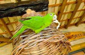 Rancho Recanto da Serra - Photo 17