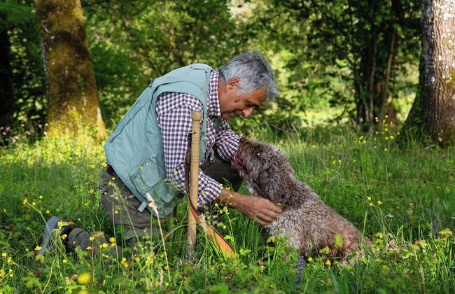 Agriturismo Borgo Scaffaia - Foto 79