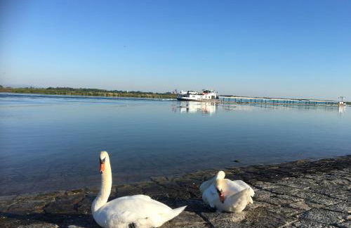 Klimatisierte Wohnung Schwarzwald Europapark Rust barrierefrei 110 qm - Foto 23