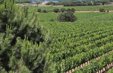 AzuRoMarin - Foto 68