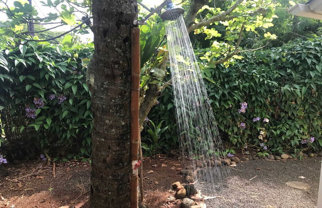 Kauai Hale Iki 1 Bedroom Home - Foto 16