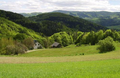 Agroturystyka Millerówka - Photo 15