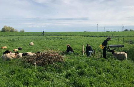 Wilde Möhre Bauwagen Sommerküche Draussen Abenteuer - Photo 28