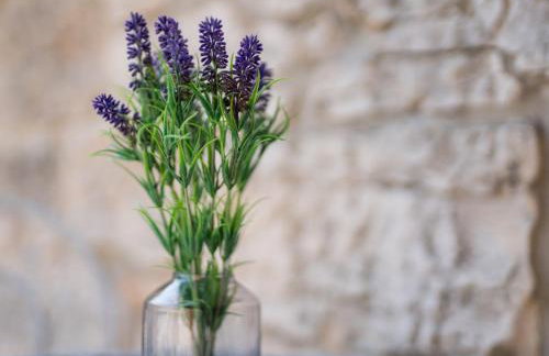 Holiday Home Ivanka by Interhome - Foto 66