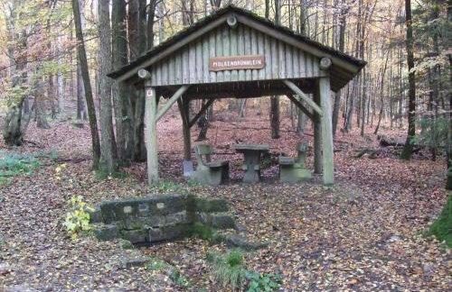 Ferienwohnung Bockelt - Foto 5
