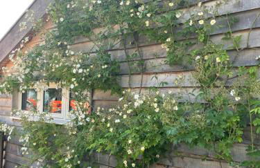 A family and dog friendly haven, The Hayloft. - Foto 2