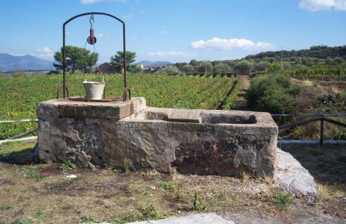 Etna Wine Azienda Agrituristica - Foto 26