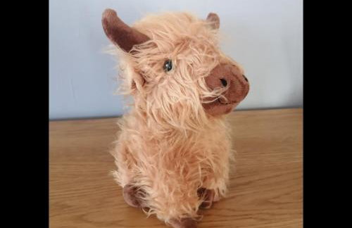 No4 Millhouse Flats - Foto 15