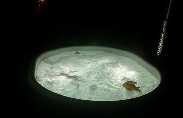 Wiehler- Ferienwohnung - Foto 40