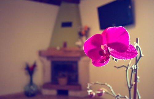 Casas los Cantores - Foto 9