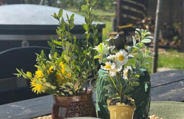 Górskie kaszuby ,Gołubie ,Domek w sielskim klimacie ,niedaleko stoku Koszałkowo na Kaszubach-do 10 osob,sauna ,balia,kominek,opcja kuligu - Foto 14