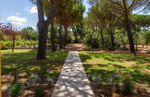 Tenuta Fiumara - Foto 39