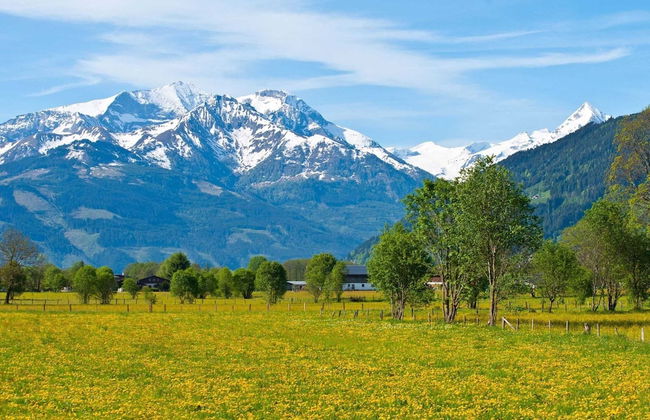 Spacious Chalet in Maishofen near Forest - Foto 34