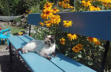 Apartamenty Leszczynowa 7 blisko Zatora - Foto 3