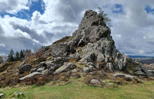 Cozy Holiday Home in Stadlern near Ski Slopes - Foto 20