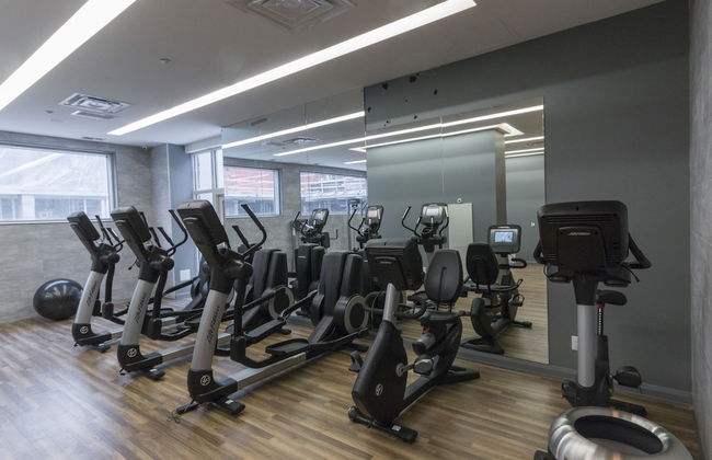 QuickStay - Premium 2bdrm in Yorkville (Yonge & Bloor) - Foto 34