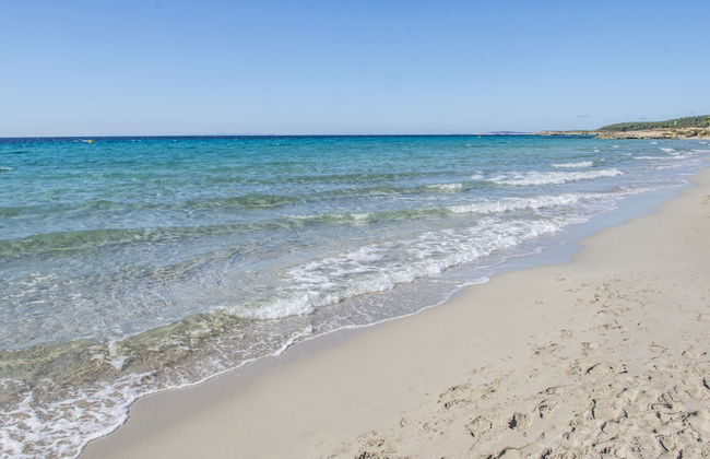 Hamilton Court Apartamentos - Photo 43