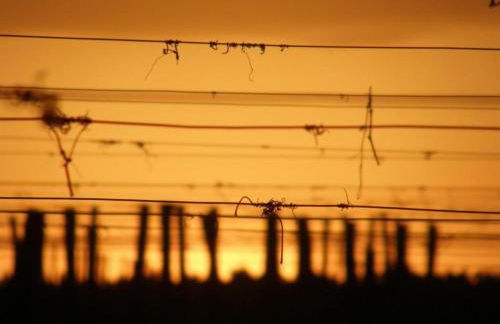 Camiran Escape: Wine & Calm - Foto 72