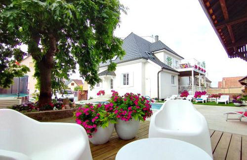 Vignes & Tropiques - Terrasse - Wifi - Clim - Parking - Photo 39