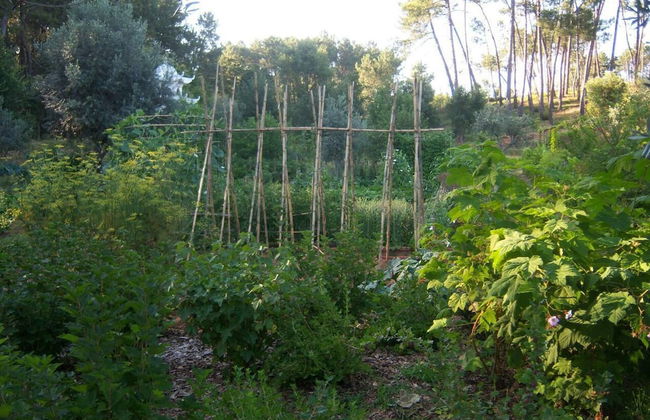 Charming Garden Retreat in Pedrogao Grande - Foto 29