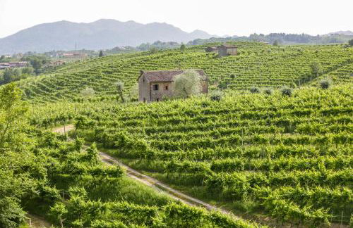 Agriturismo Il Follo - Foto 33