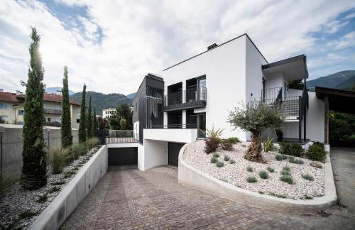 Sambucus Apartments -Premium Apartments for You and Your Dog - Photo 63