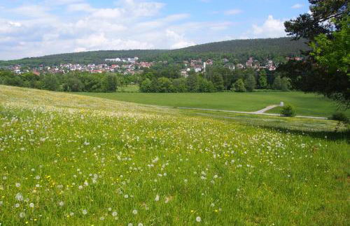 Haus Sonneneck - Foto 28