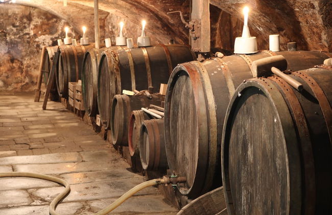 Alte Schmiede zu Trarbach - Foto 49