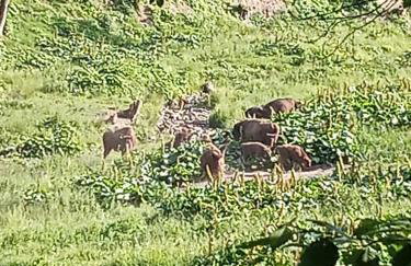 Drozdówka nad Soliną - Domki BOHO - Foto 60