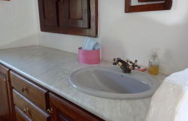 le héron cendré - Foto 15