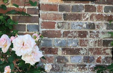 The Gazebo - Winchelsea Town - Foto 16