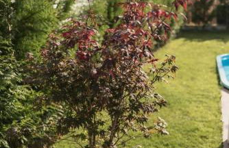 Casa Calima - Foto 31