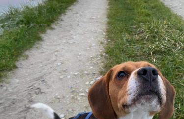 Domaine de la Dune Gite entre Terre et Mer - Foto 17