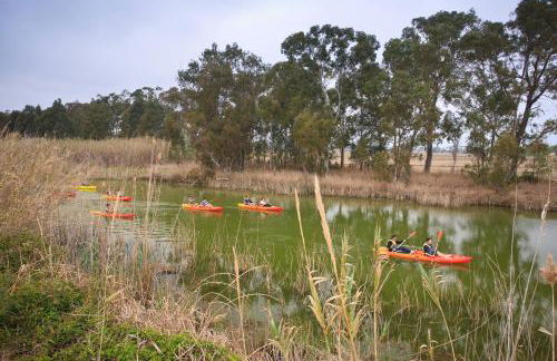 Casa Josep - Foto 61