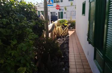 Caracola azul - Foto 6