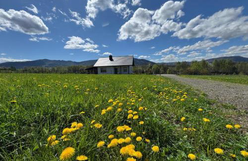 Zaczarowane Wzgórze - Domek w Beskidach - Foto 6
