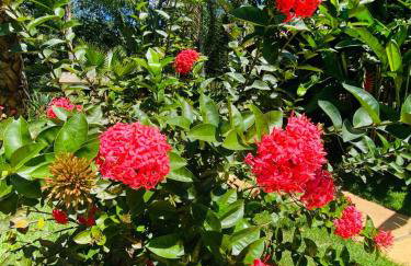 Casa de Campo Pampulha - Foto 36