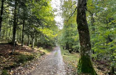 Chalet Des Feignes - Photo 42