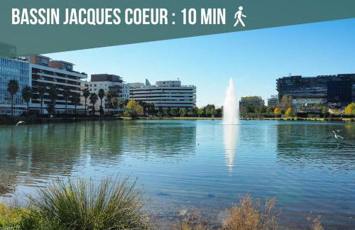 Le Jardin du Lez - Parking Privé et Gratuit - Wifi Fibre - Rives du Lez - Photo 16