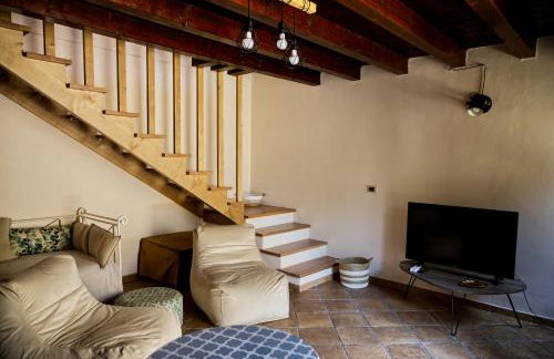 Garden Cactus - Foto 9