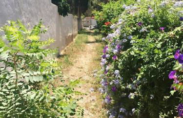 Appart Bianca T2 - Terrasse - Parking - Calme - 1mn de la mer - Photo 34