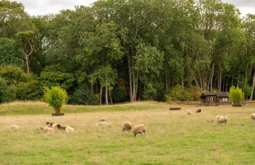 Family Cotswolds Cottage Farm Stay - The Smythy - Foto 66