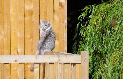 Fun holiday lodges in historic walled garden near Falkirk, Heart of Scotland Holidays - Foto 59