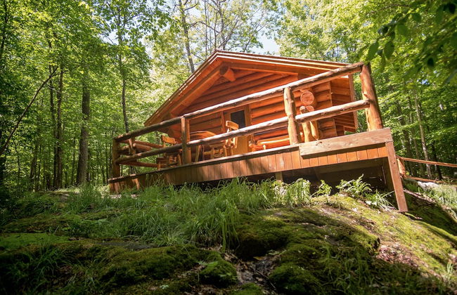 Parc Omega - Foto 15