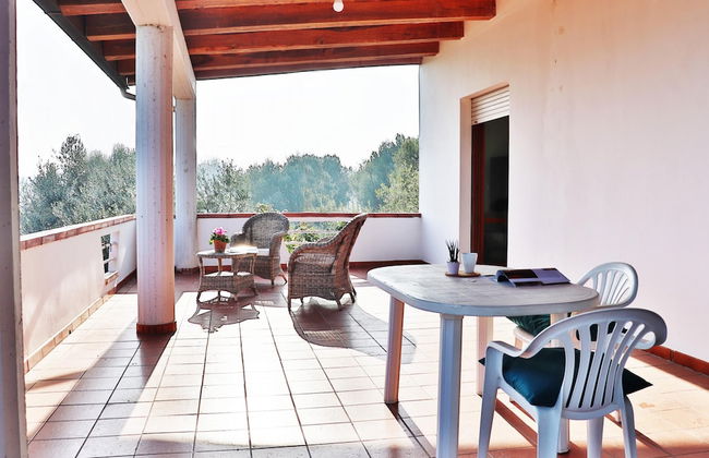 La Finestra Sugli Ulivi - Foto 2