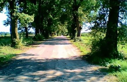 Biobagnolese Agriturismo - Foto 36